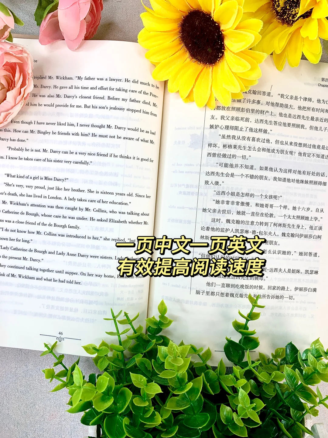 这本双语《傲慢与偏见》把阅读+词汇焊死了