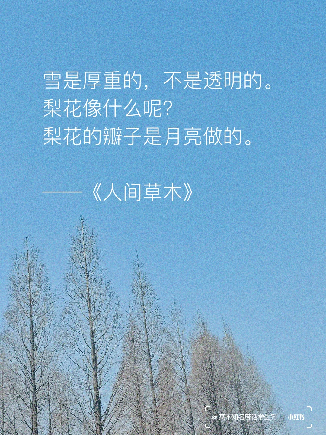 永不褪色的文学经典