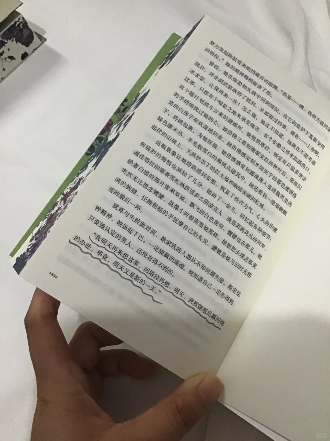 被梅静译本的《飘》美到失语! 太绝了!