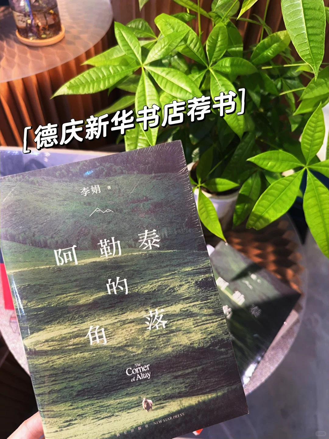 荐书 | 李娟《阿勒泰的角落》