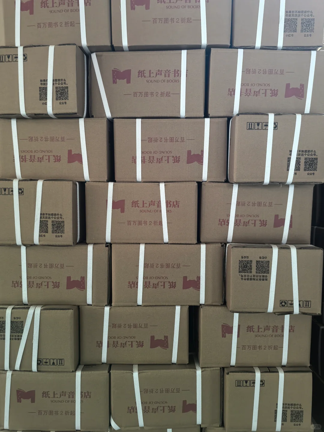 原版书太贵？盲盒平替！99 元十本！