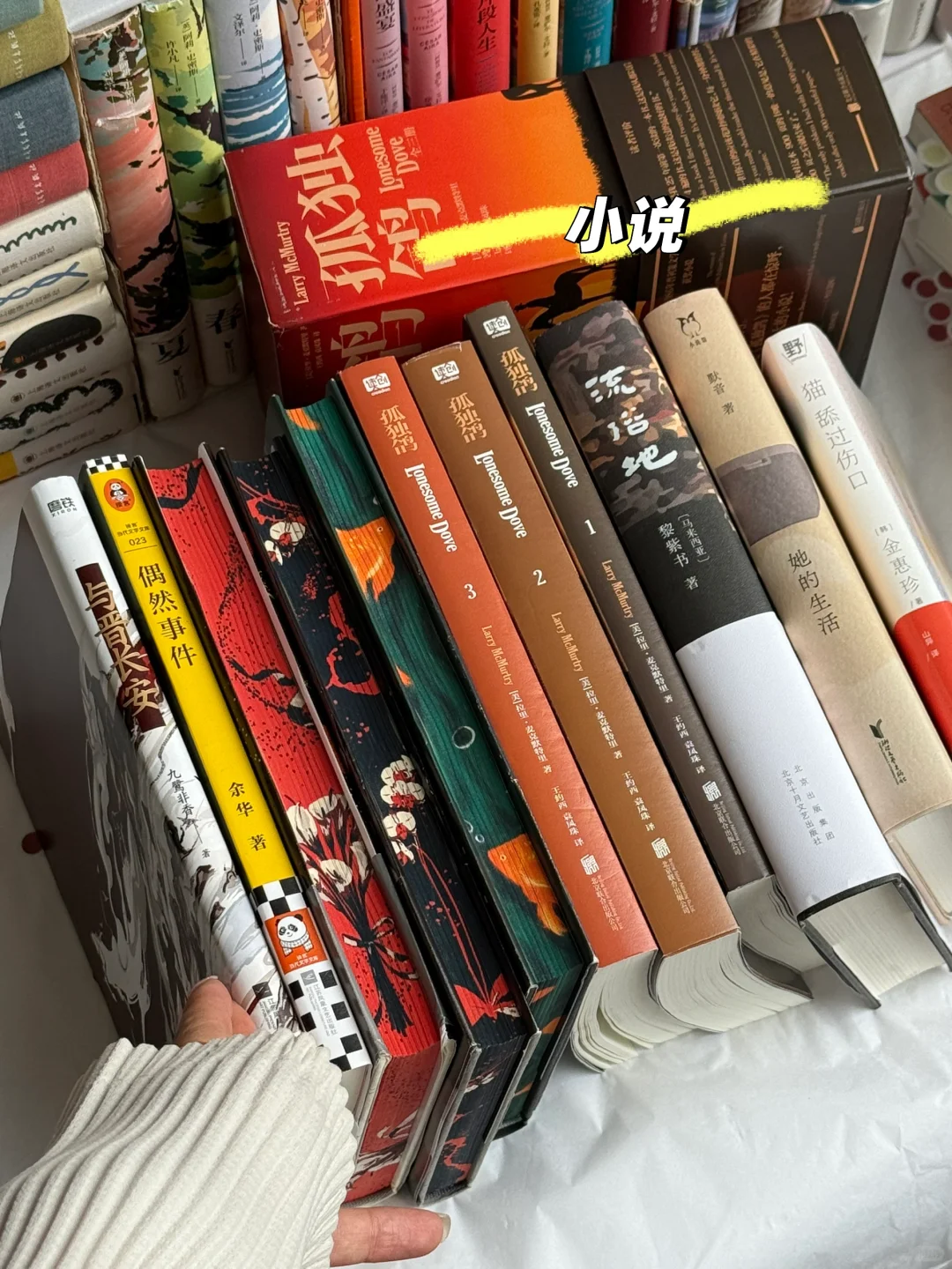 4月读了20本书