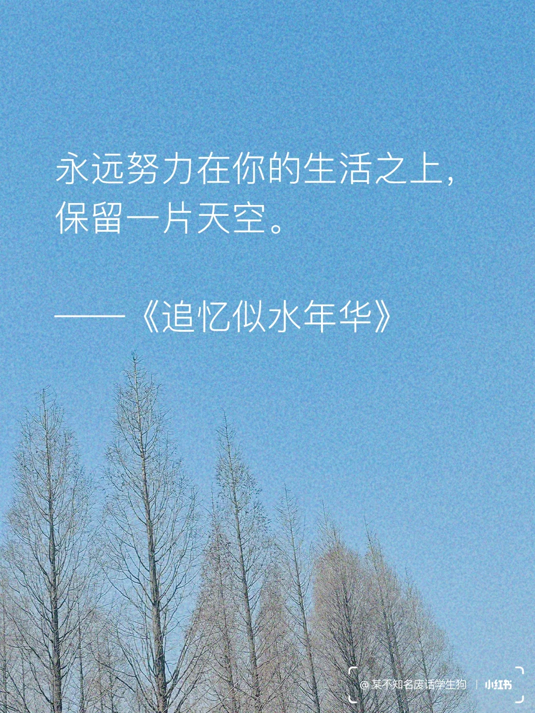 永不褪色的文学经典