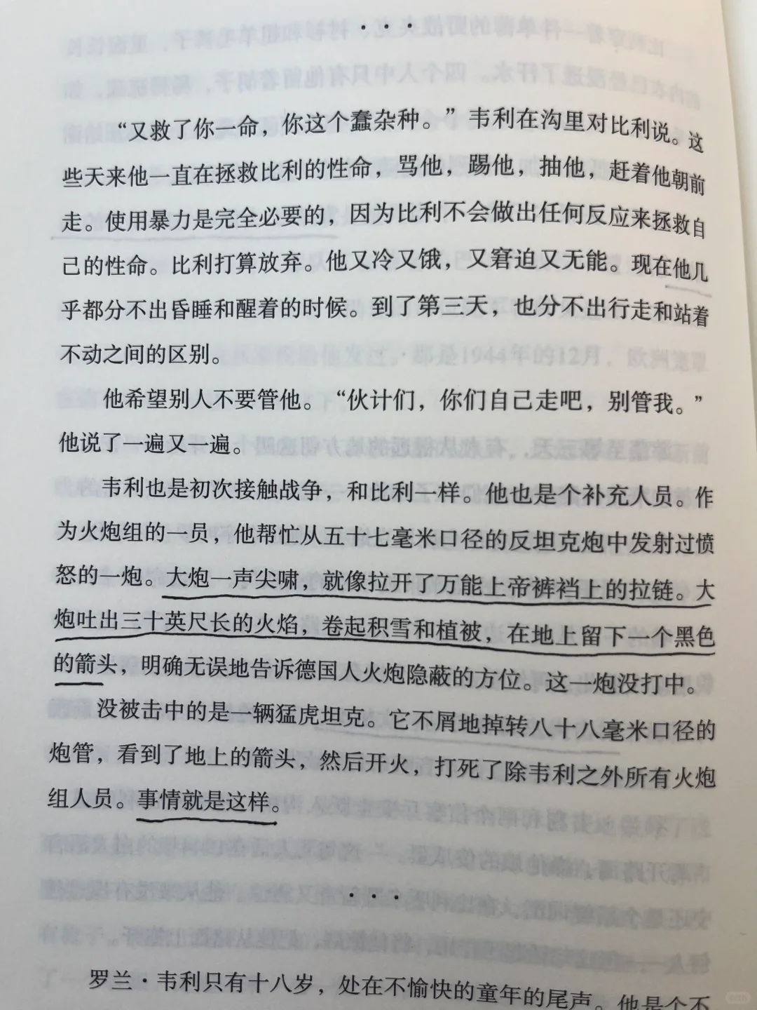 没有英雄，只有受害者