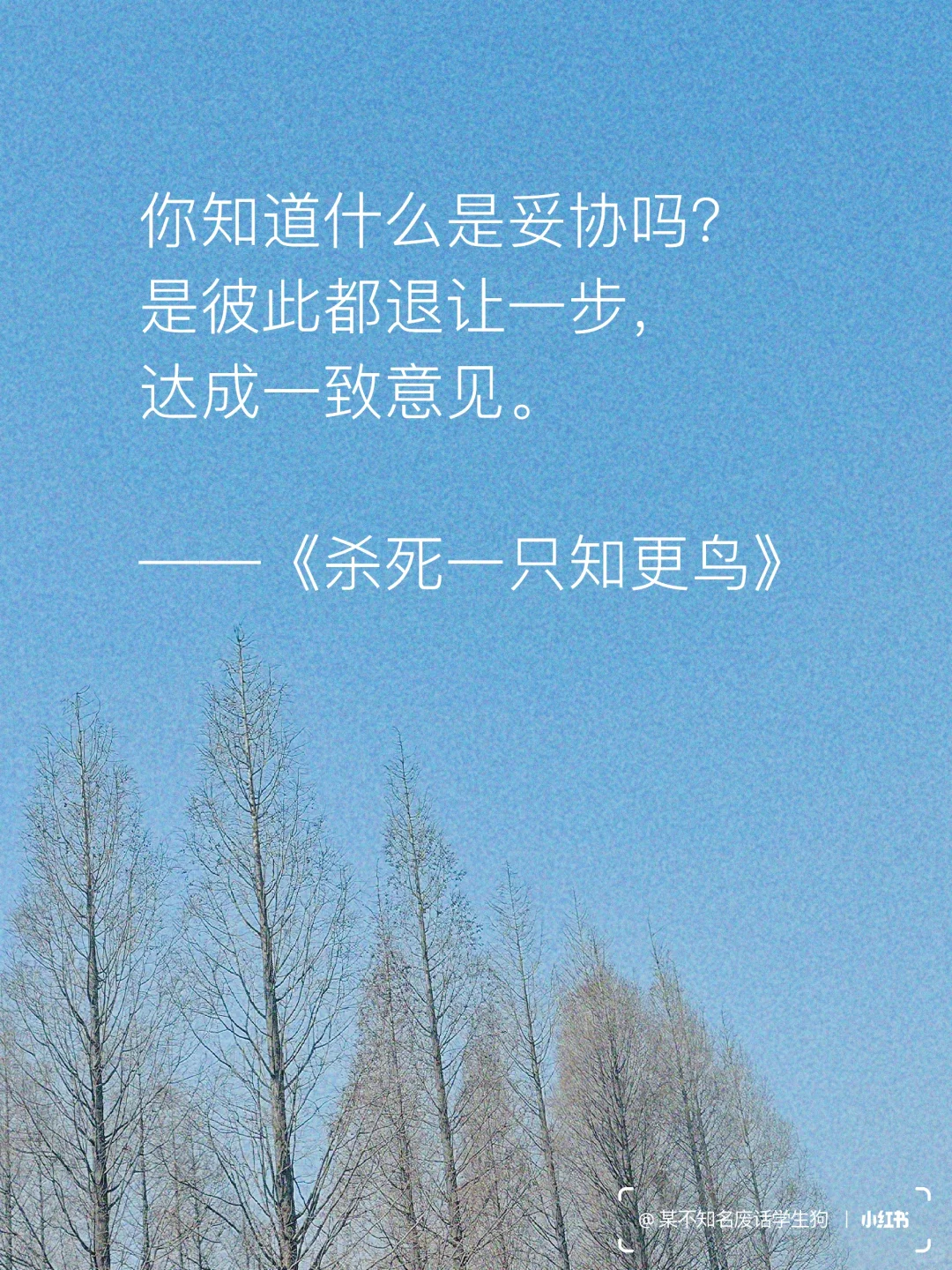 永不褪色的文学经典