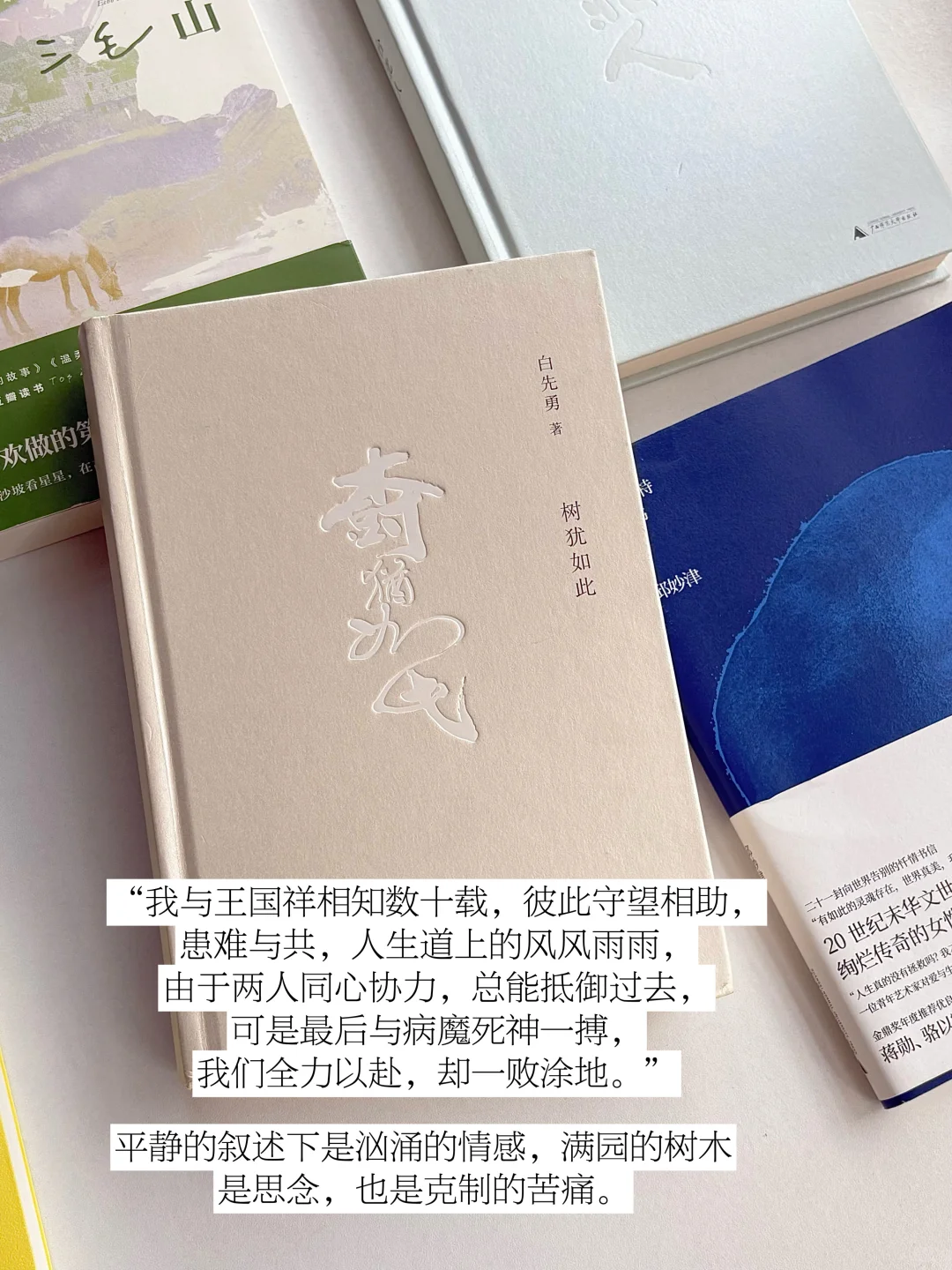书单｜那些独属于台湾文学的细腻与潮湿