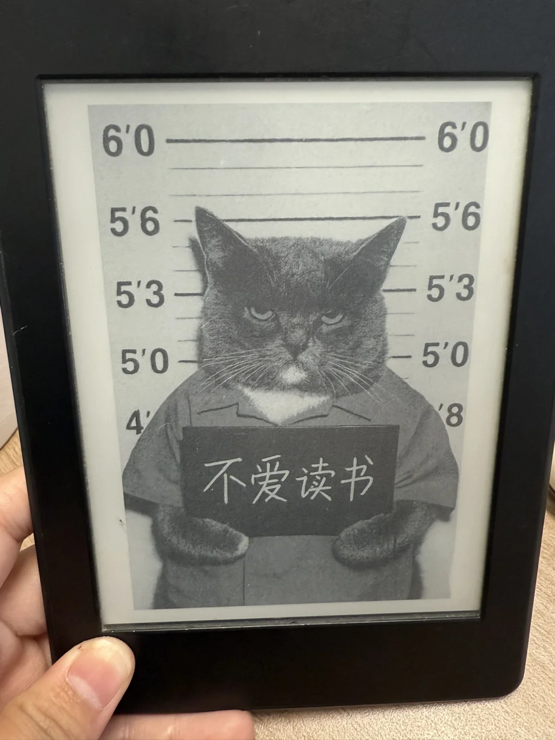 iOS搭配Kindle更换壁纸的极简教程