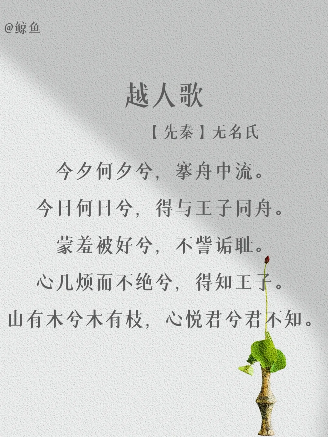 盘点那些出自“无名氏”的经典名篇❤️
