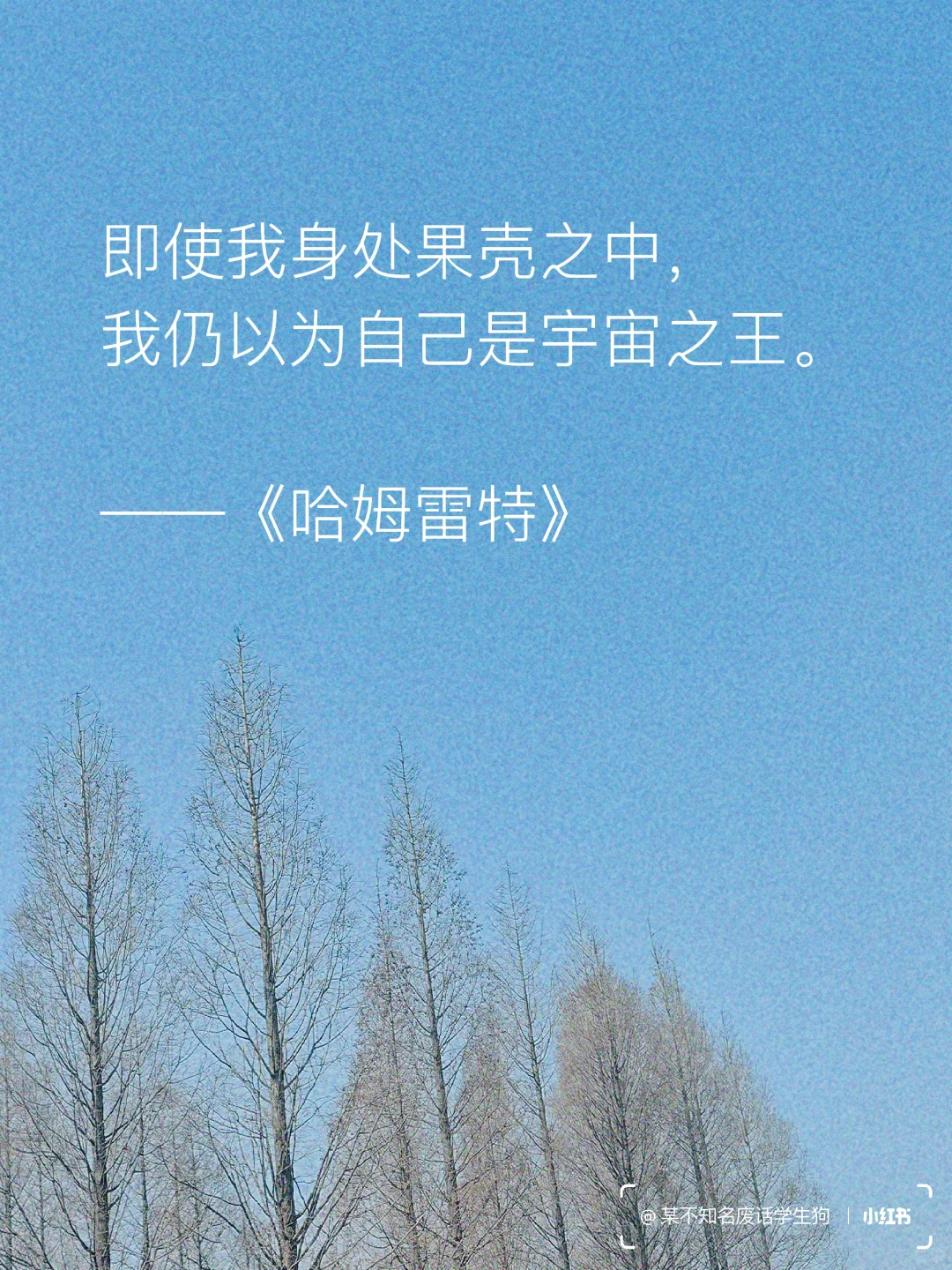 永不褪色的文学经典