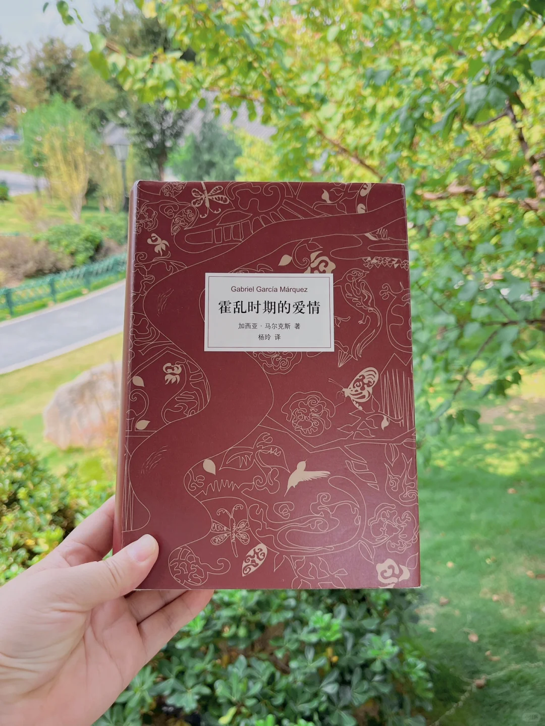 名著难读？分享8本对新手友好外国小说入门书