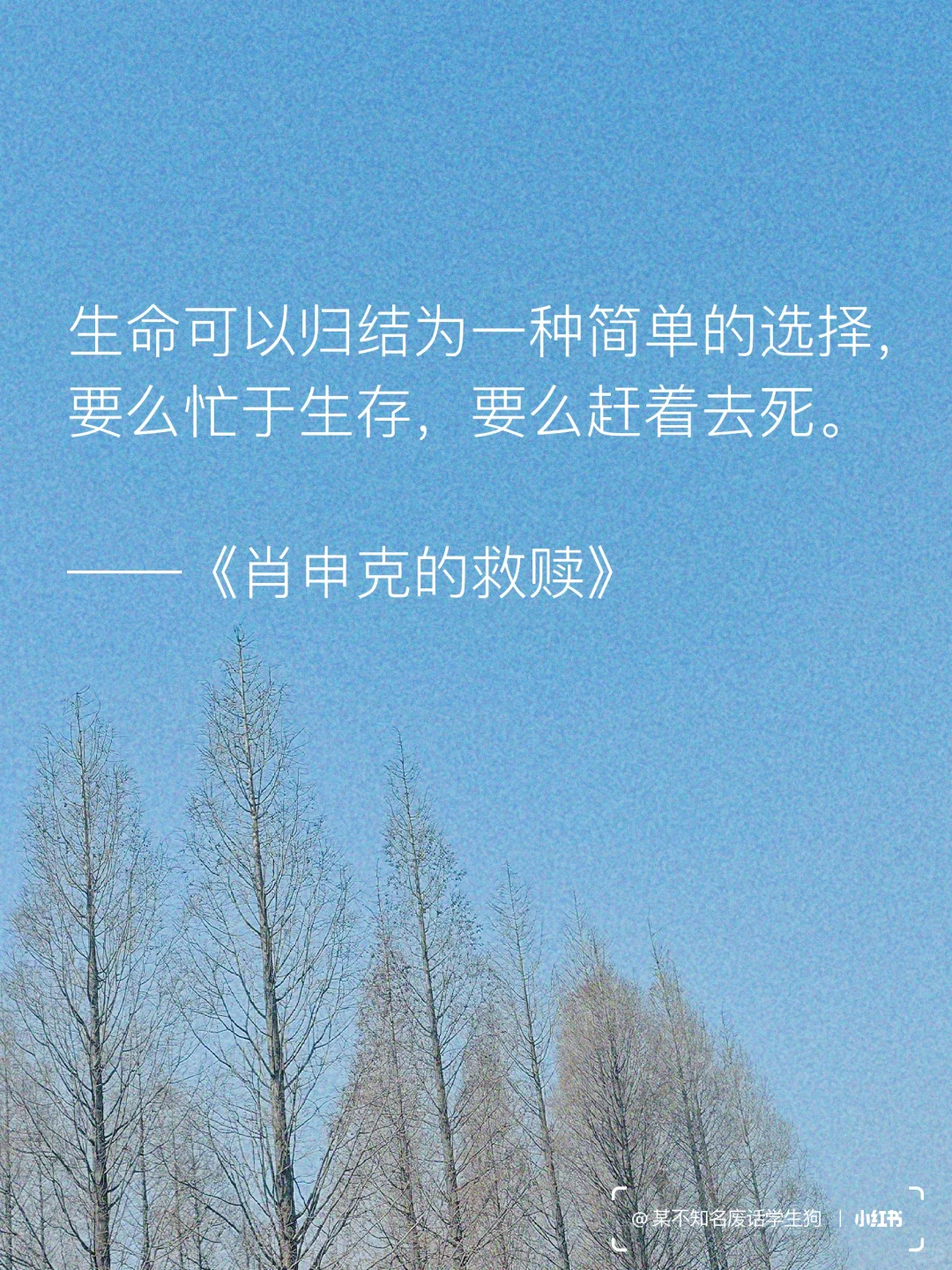 永不褪色的文学经典