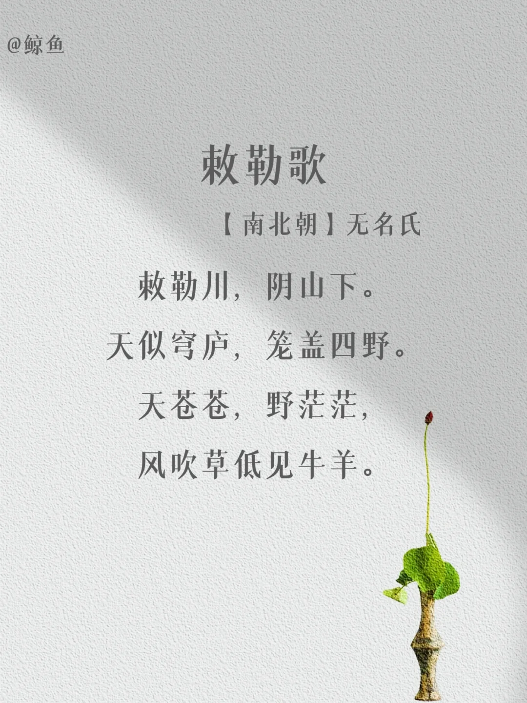 盘点那些出自“无名氏”的经典名篇❤️