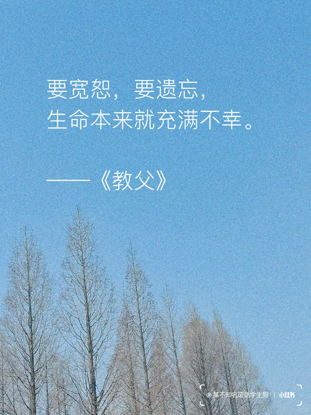 永不褪色的文学经典