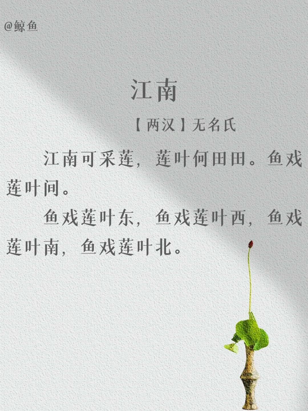 盘点那些出自“无名氏”的经典名篇❤️