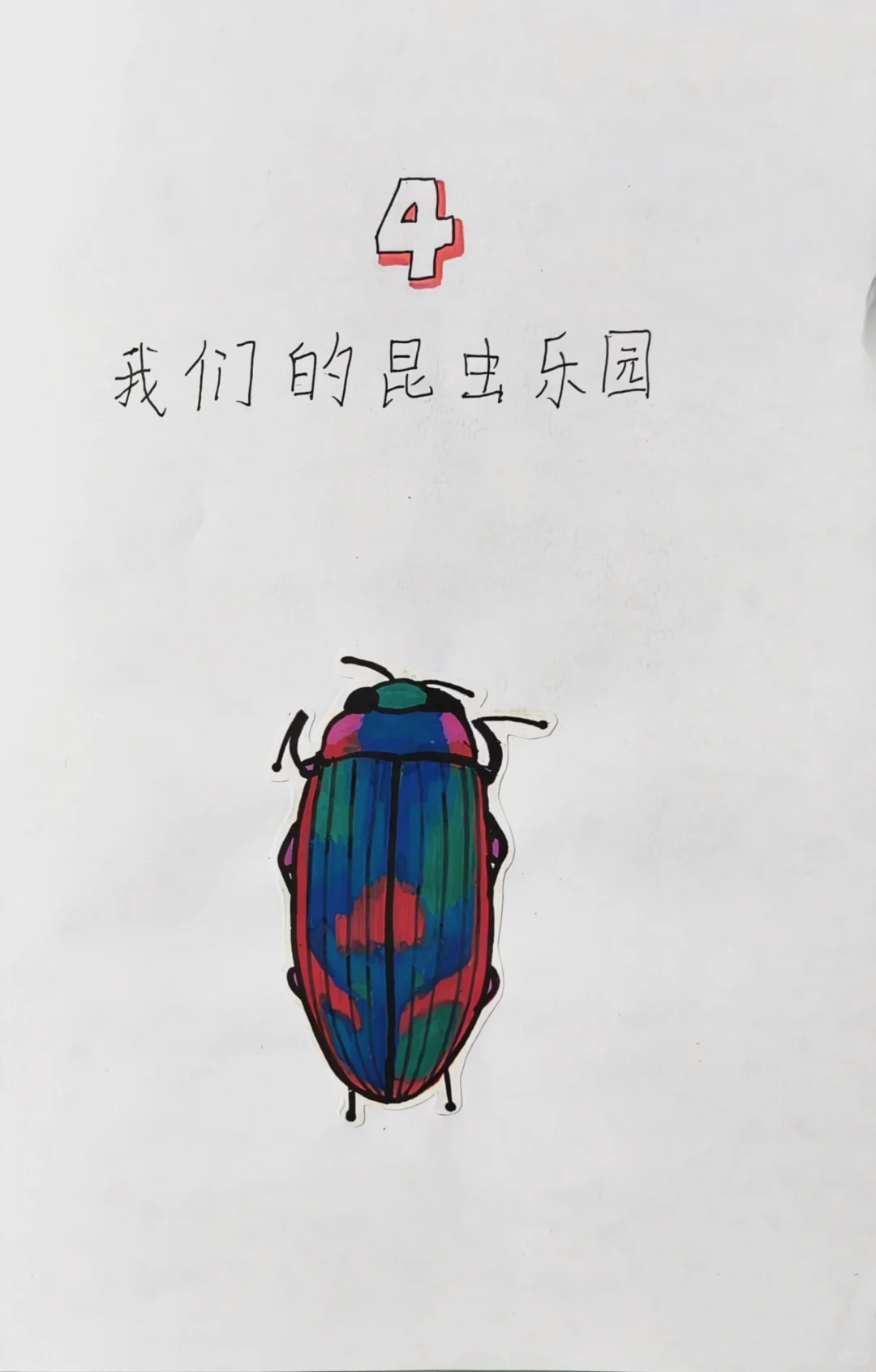 亲子自制小书《昆虫记》
