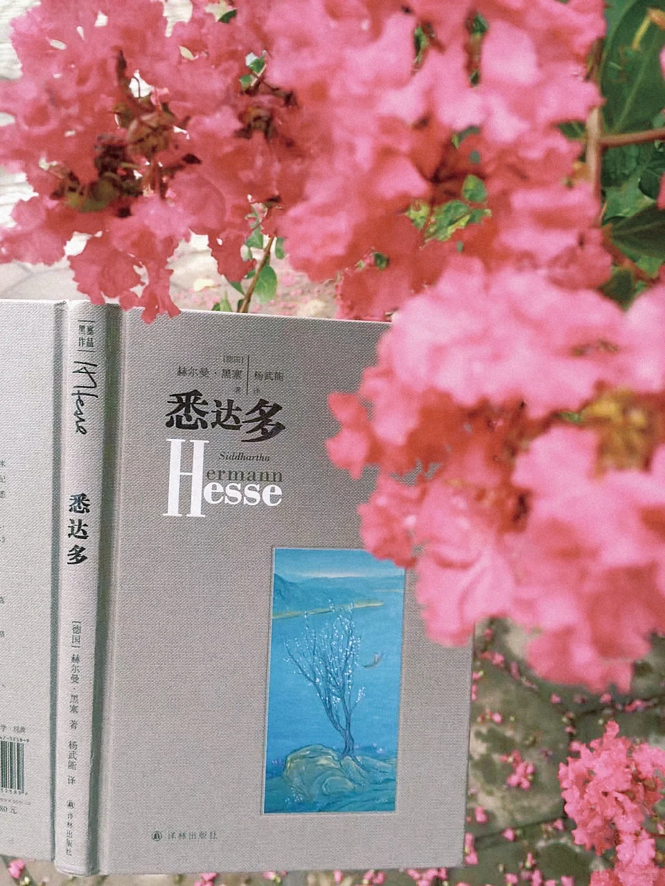 名著难读？分享8本对新手友好外国小说入门书