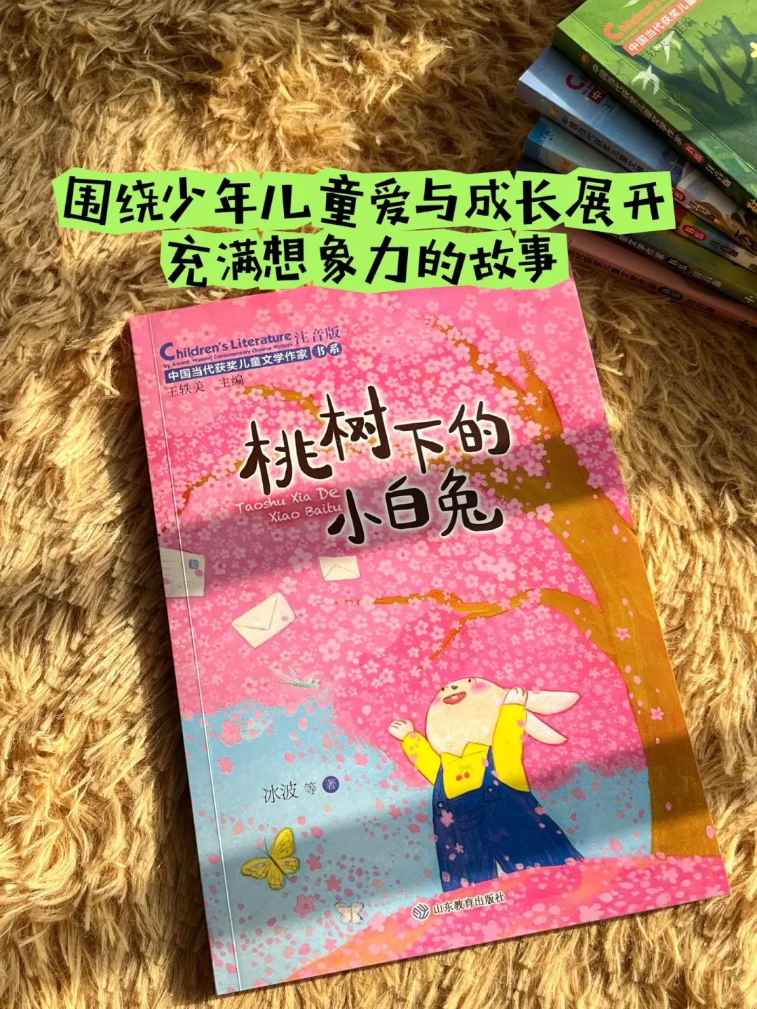 中国当代获奖儿童文学作家书系