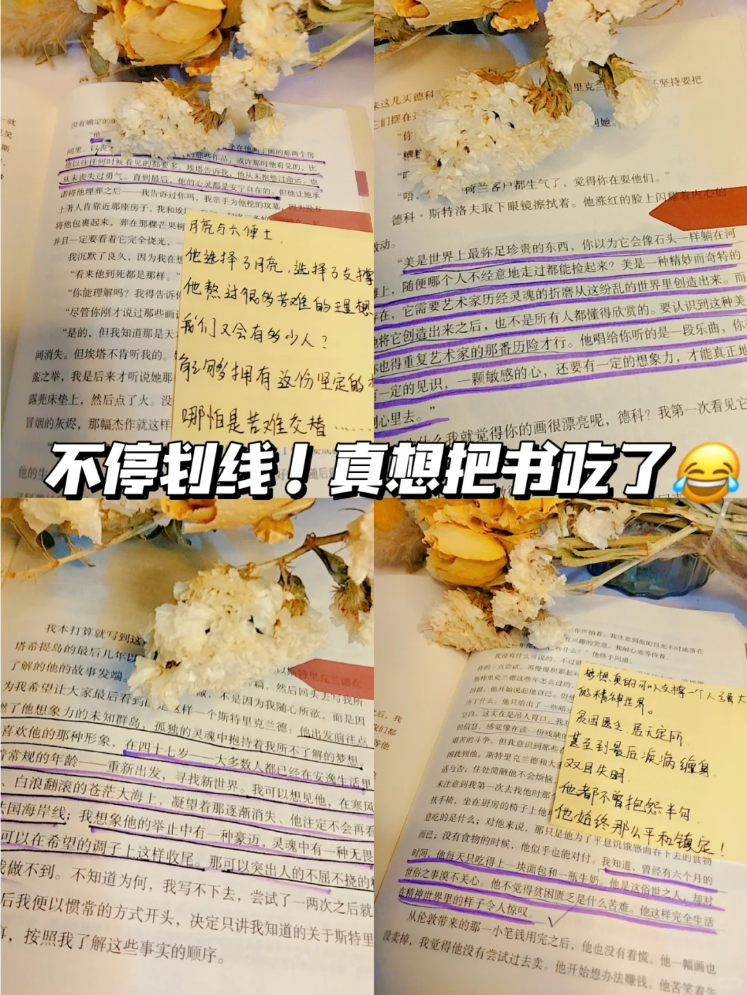 凌晨一点了😭我还是不舍得放下这本书