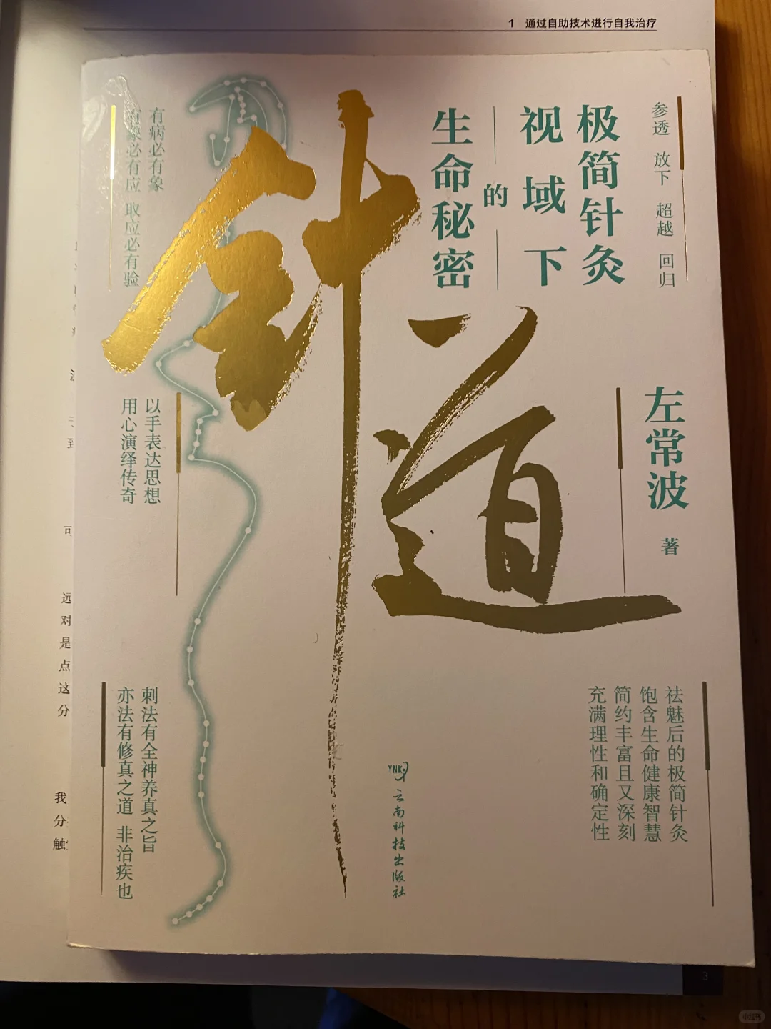 2025书单4，趁着热乎劲儿激动分享这本书