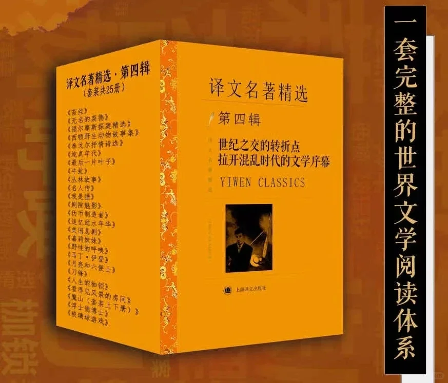 世界译文名著精选133本，套装合计5套