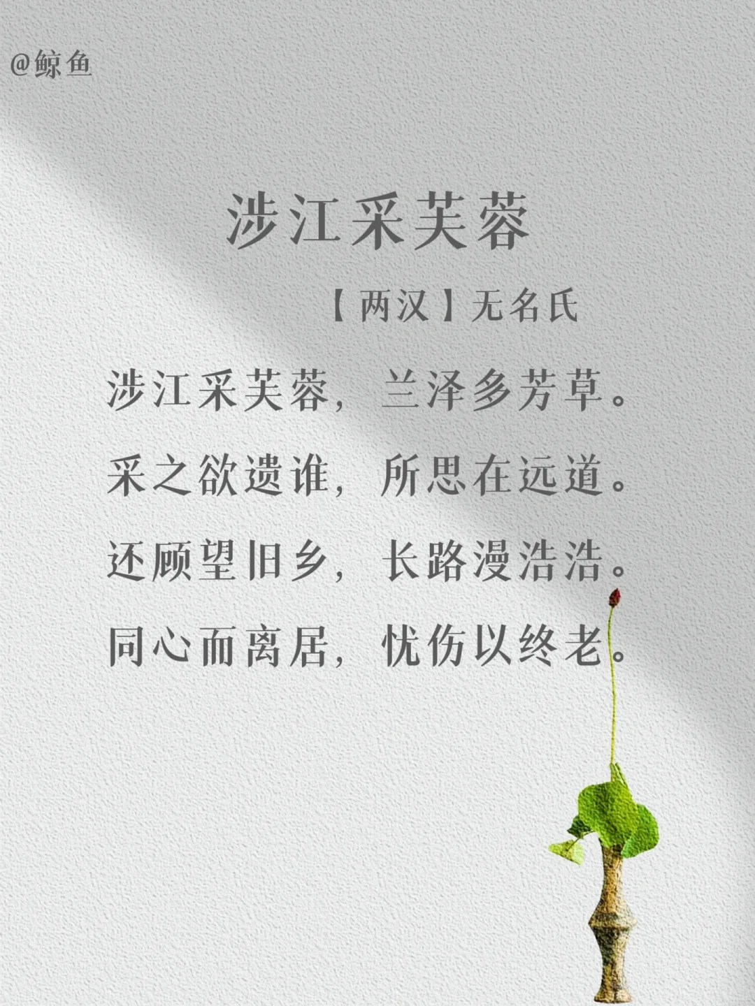 盘点那些出自“无名氏”的经典名篇❤️
