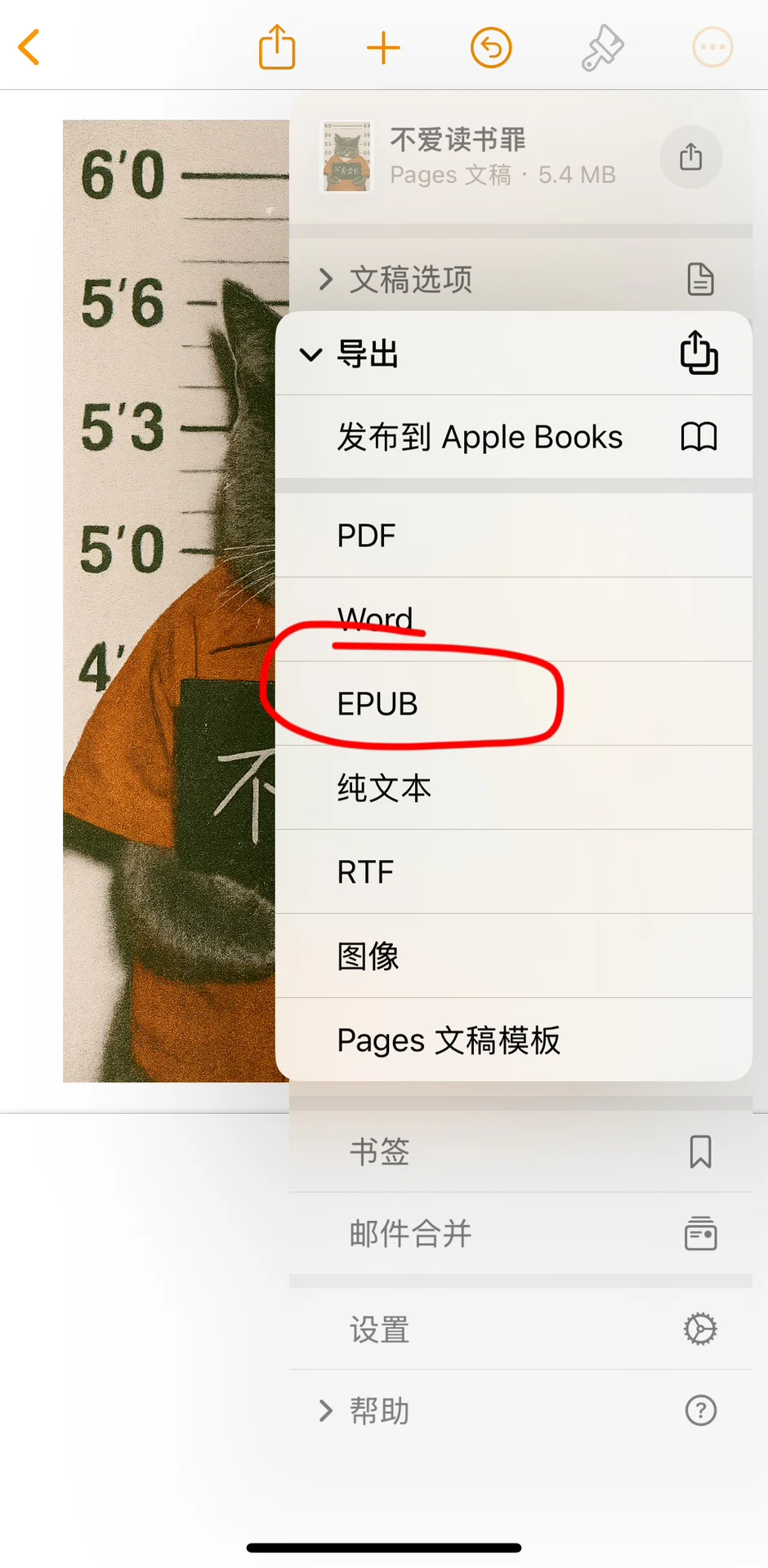 iOS搭配Kindle更换壁纸的极简教程