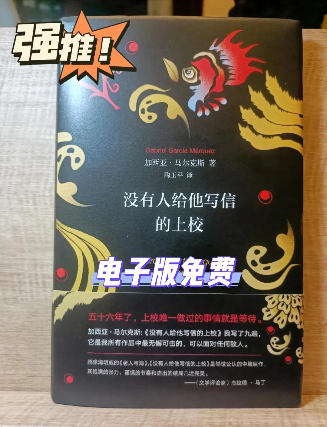书名：《没有人给他写信的上校》电子版免费