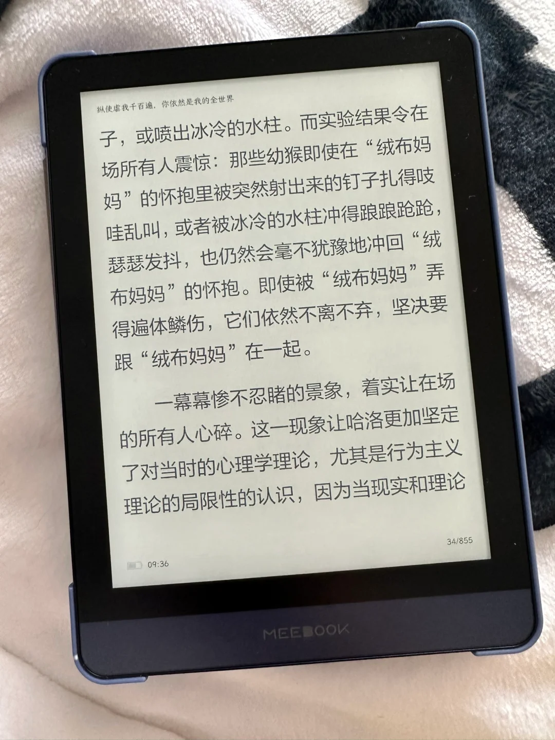 都停一停，我终于找到不用退货的阅读器了