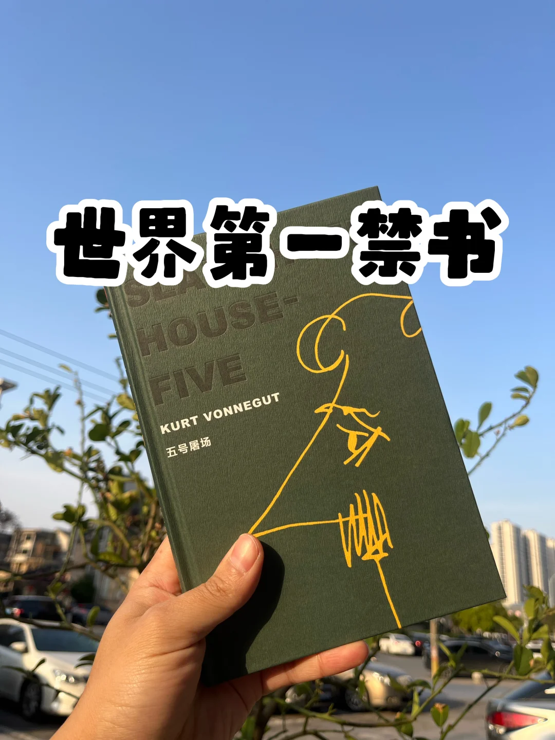 没有英雄，只有受害者