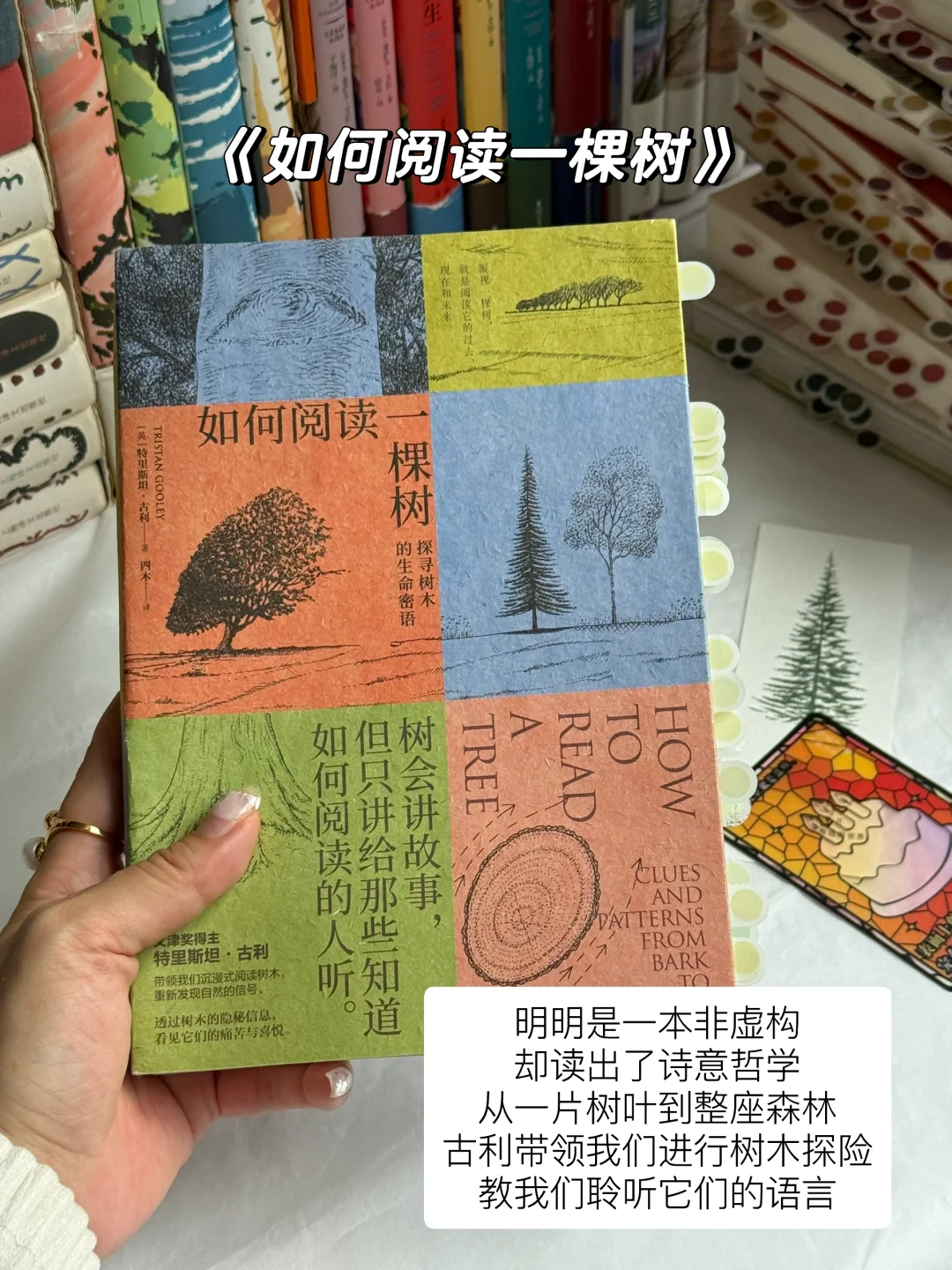 4月读了20本书