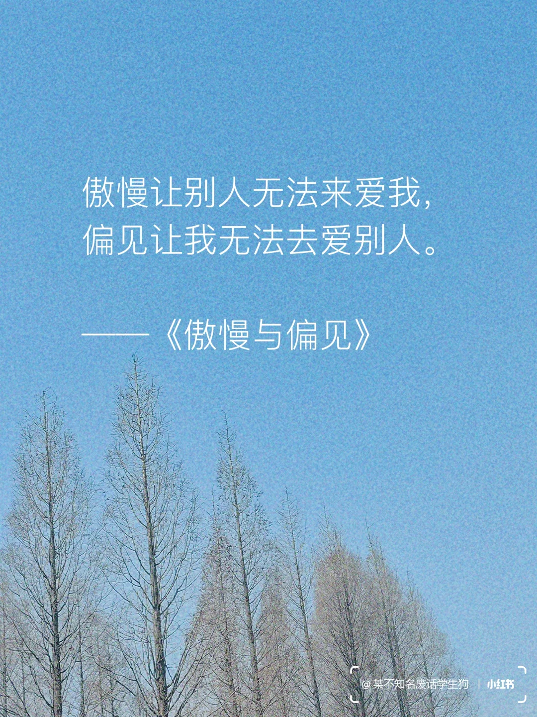 永不褪色的文学经典