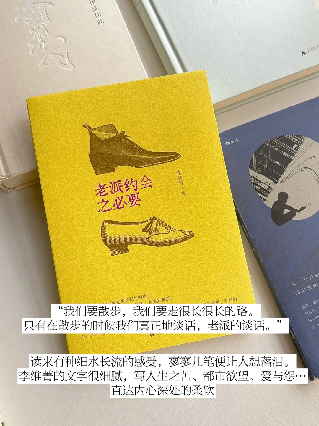 书单｜那些独属于台湾文学的细腻与潮湿