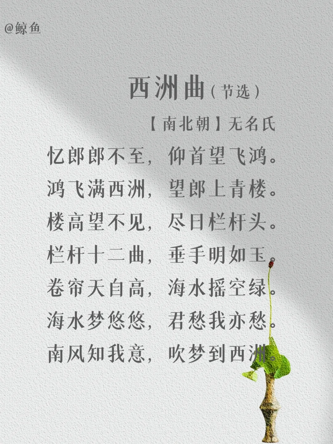 盘点那些出自“无名氏”的经典名篇❤️