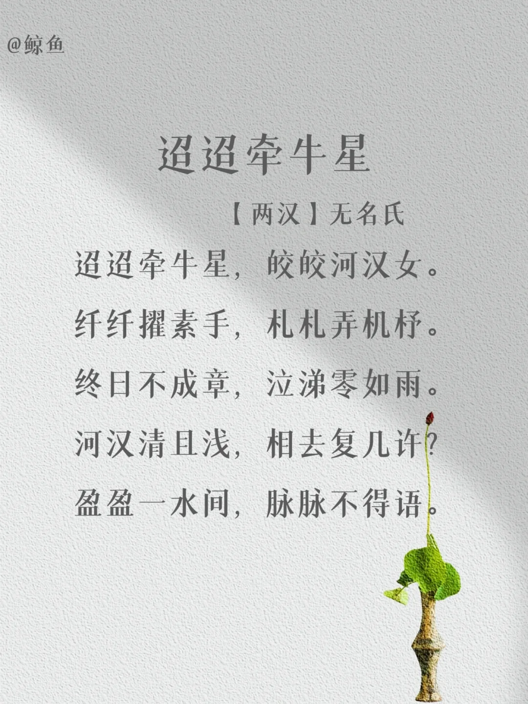 盘点那些出自“无名氏”的经典名篇❤️