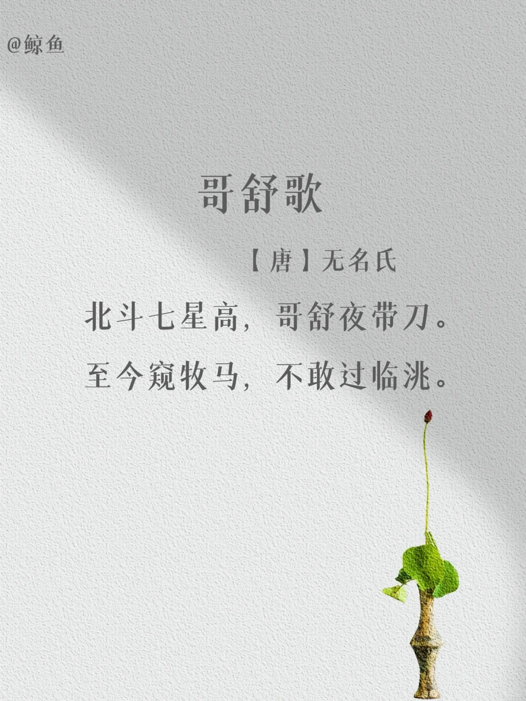 盘点那些出自“无名氏”的经典名篇❤️