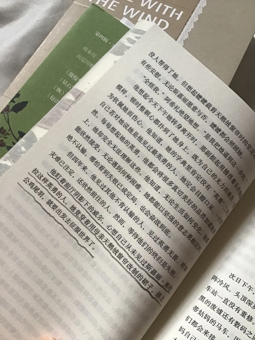 被梅静译本的《飘》美到失语! 太绝了!