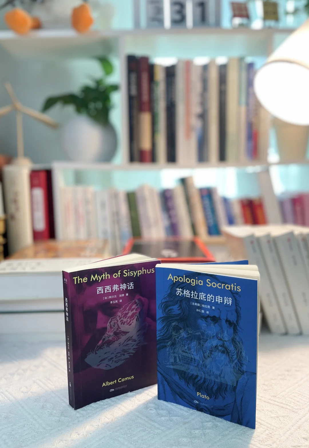 📖7月书单分享：书是避难所，也是瞭望塔