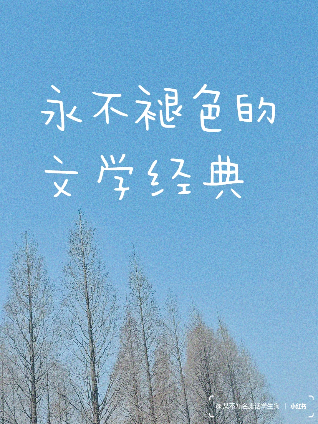 永不褪色的文学经典