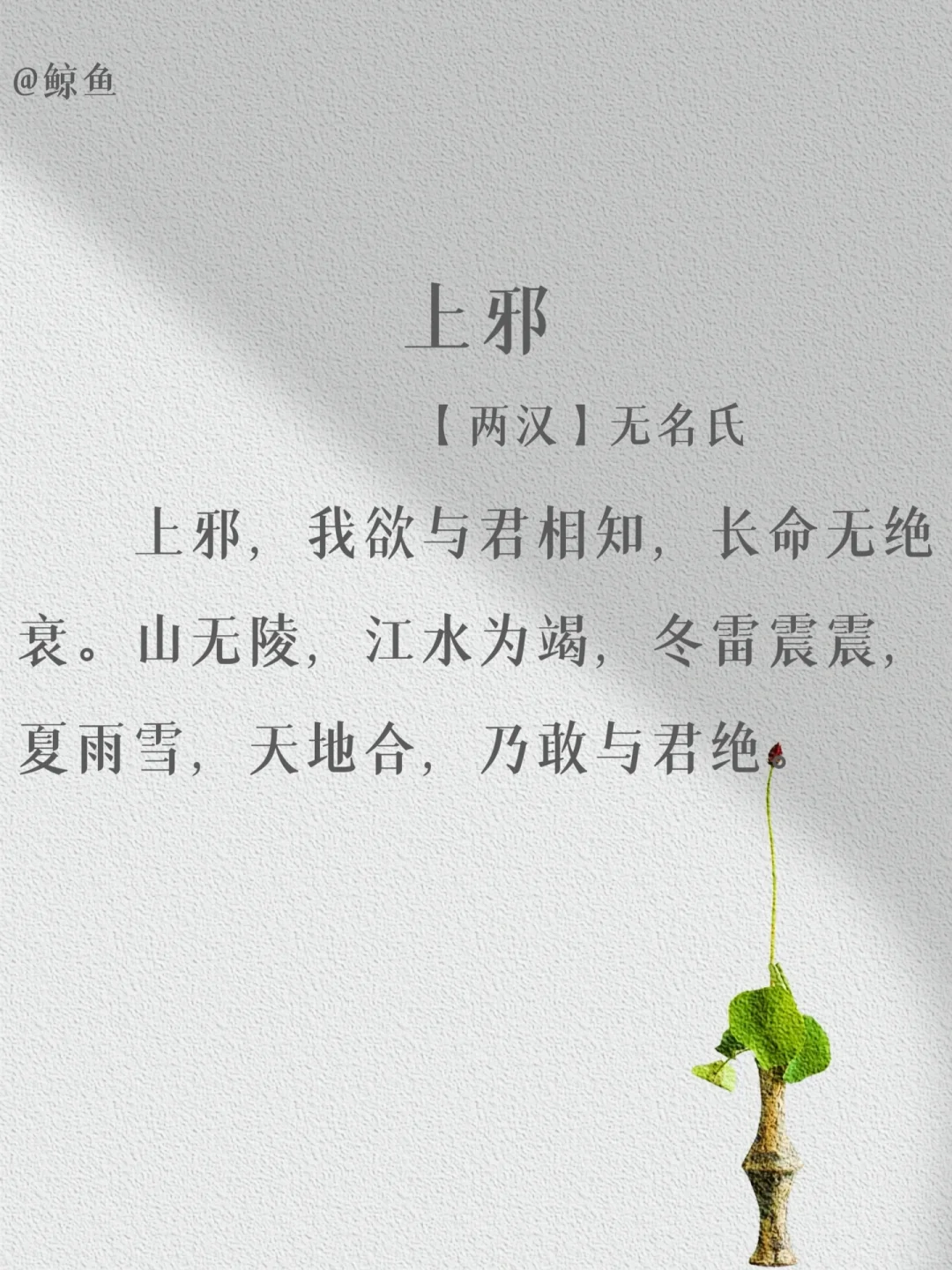 盘点那些出自“无名氏”的经典名篇❤️