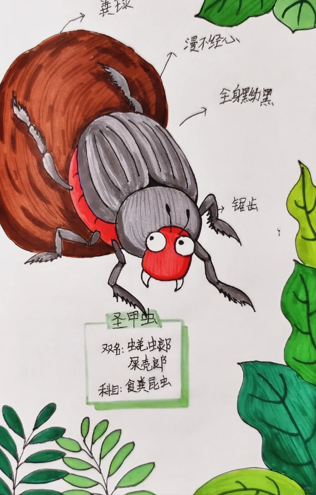 亲子自制小书《昆虫记》