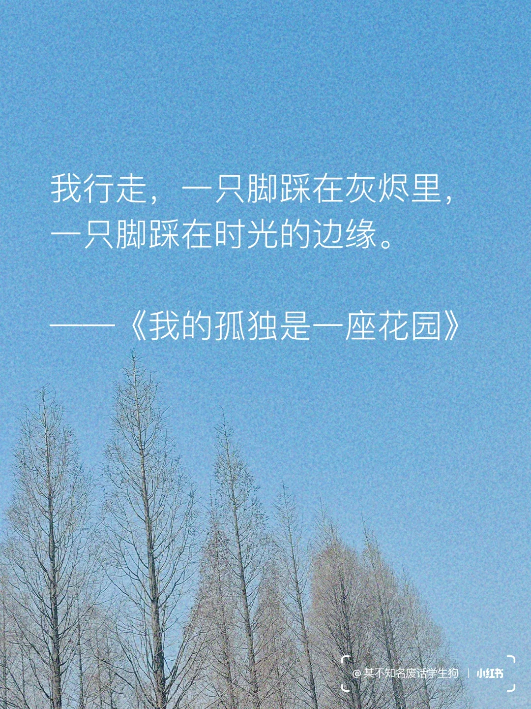永不褪色的文学经典