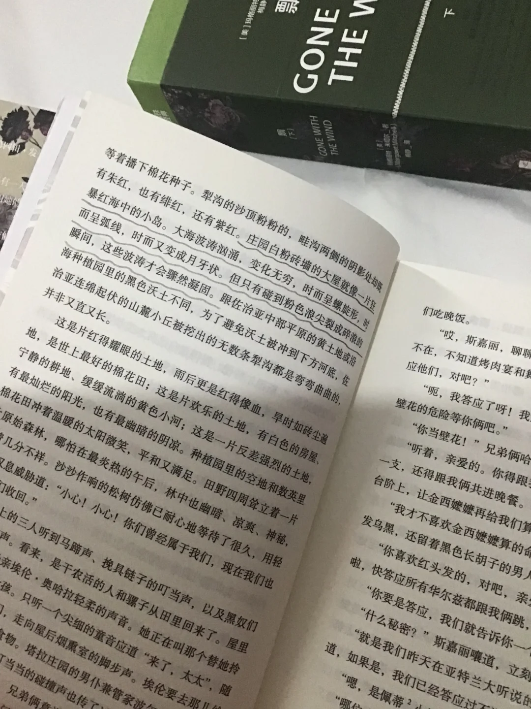 被梅静译本的《飘》美到失语! 太绝了!
