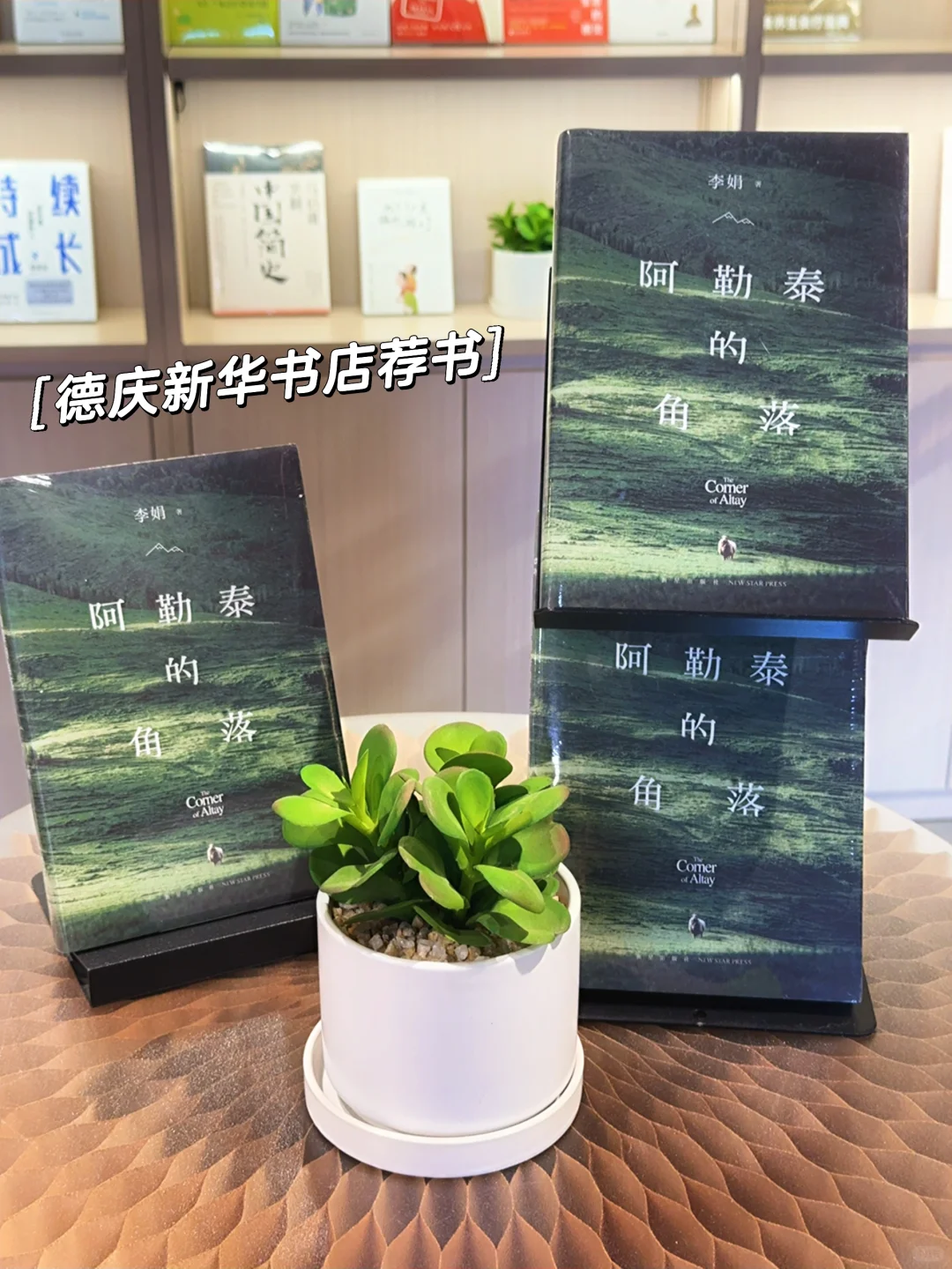 荐书 | 李娟《阿勒泰的角落》