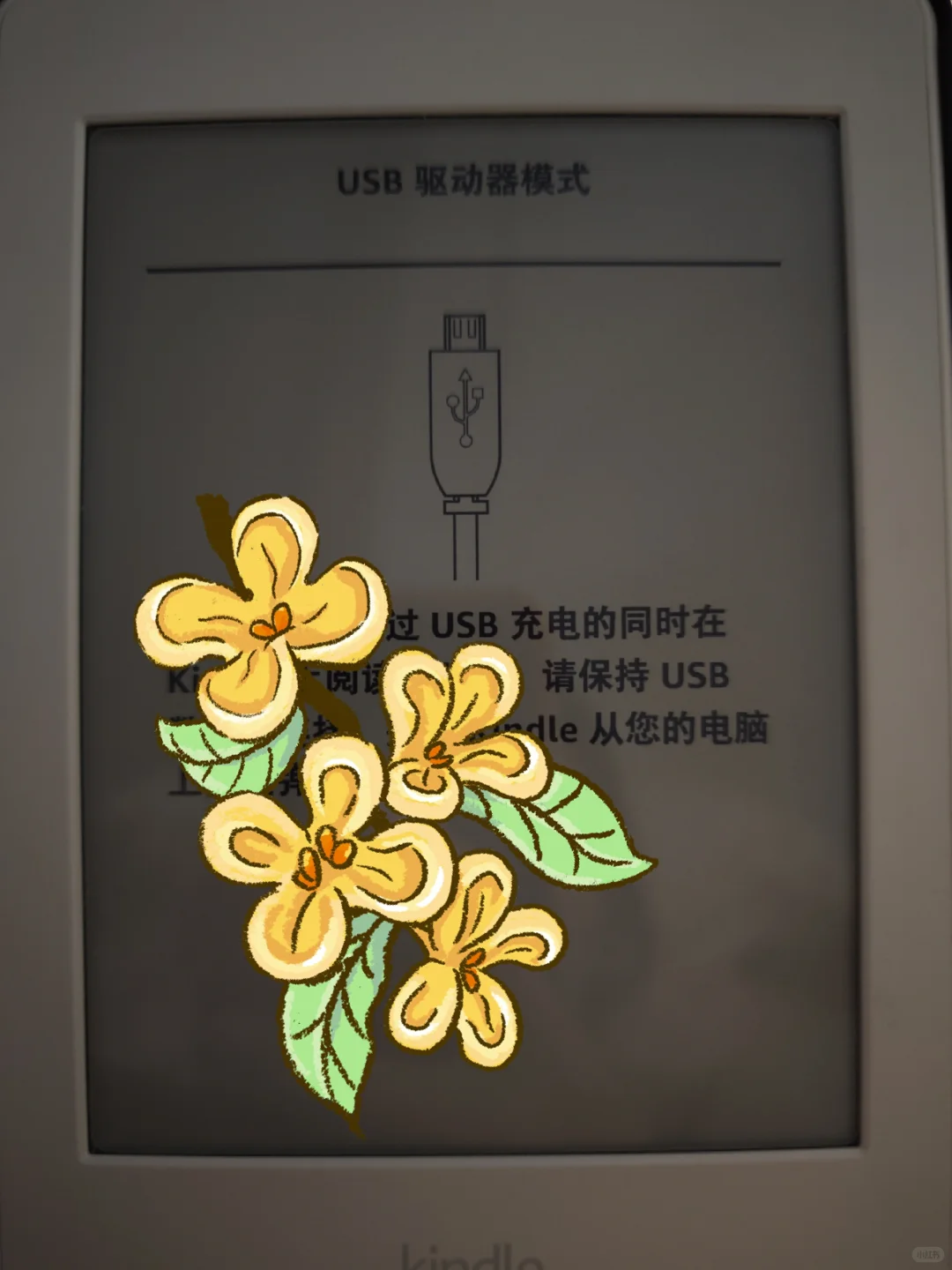 kindle导入书籍