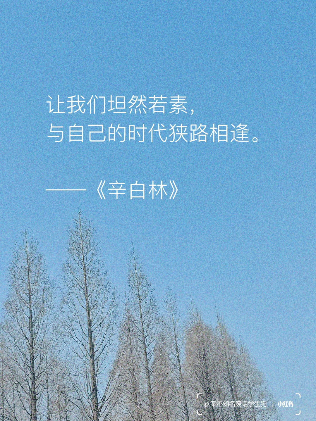 永不褪色的文学经典