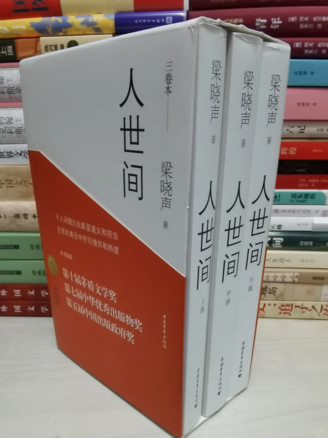 强烈推荐给真书虫！我喜欢的茅奖作品