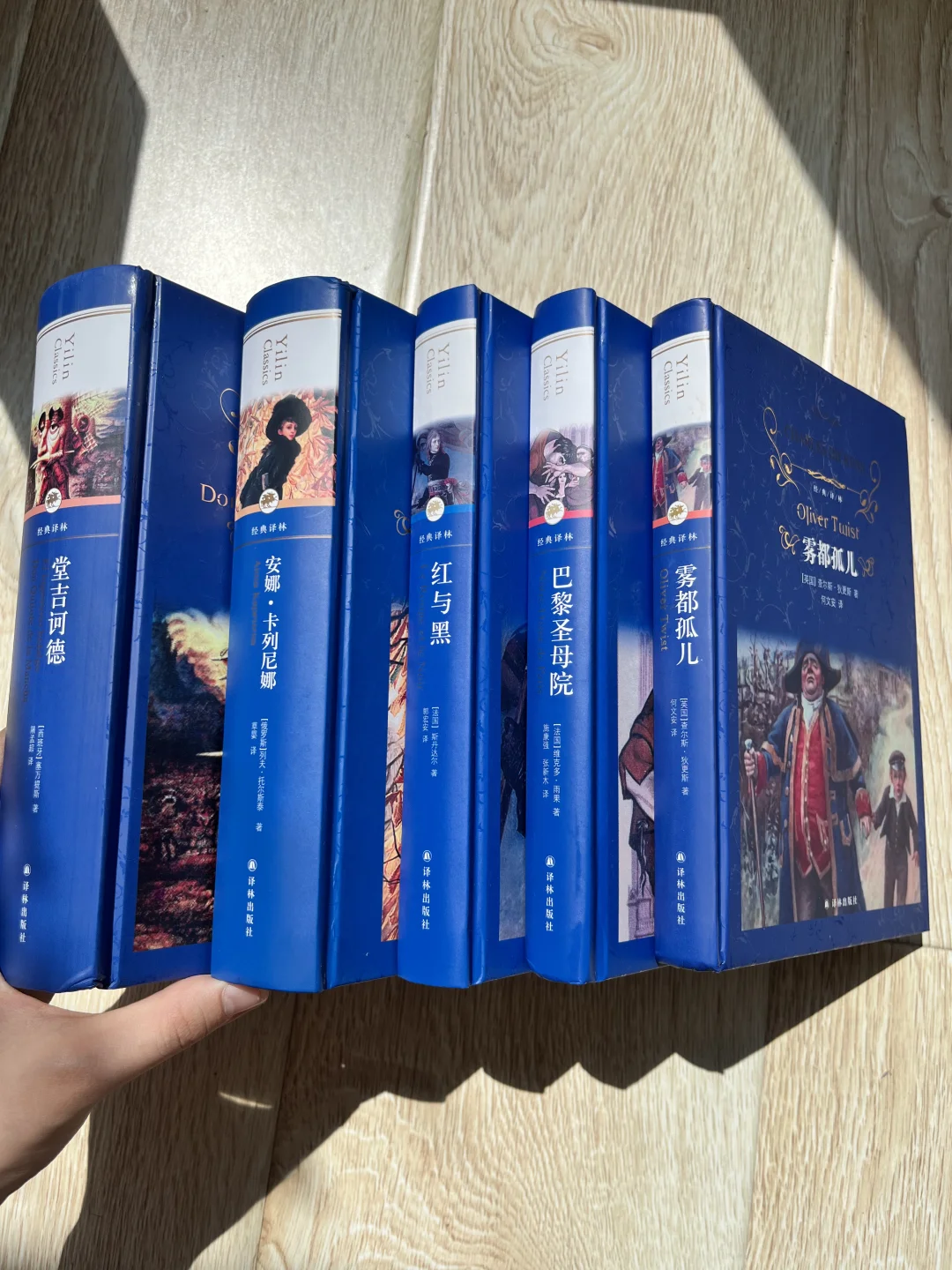 译林经典蓝皮书系列|真的很想收藏全套❗️