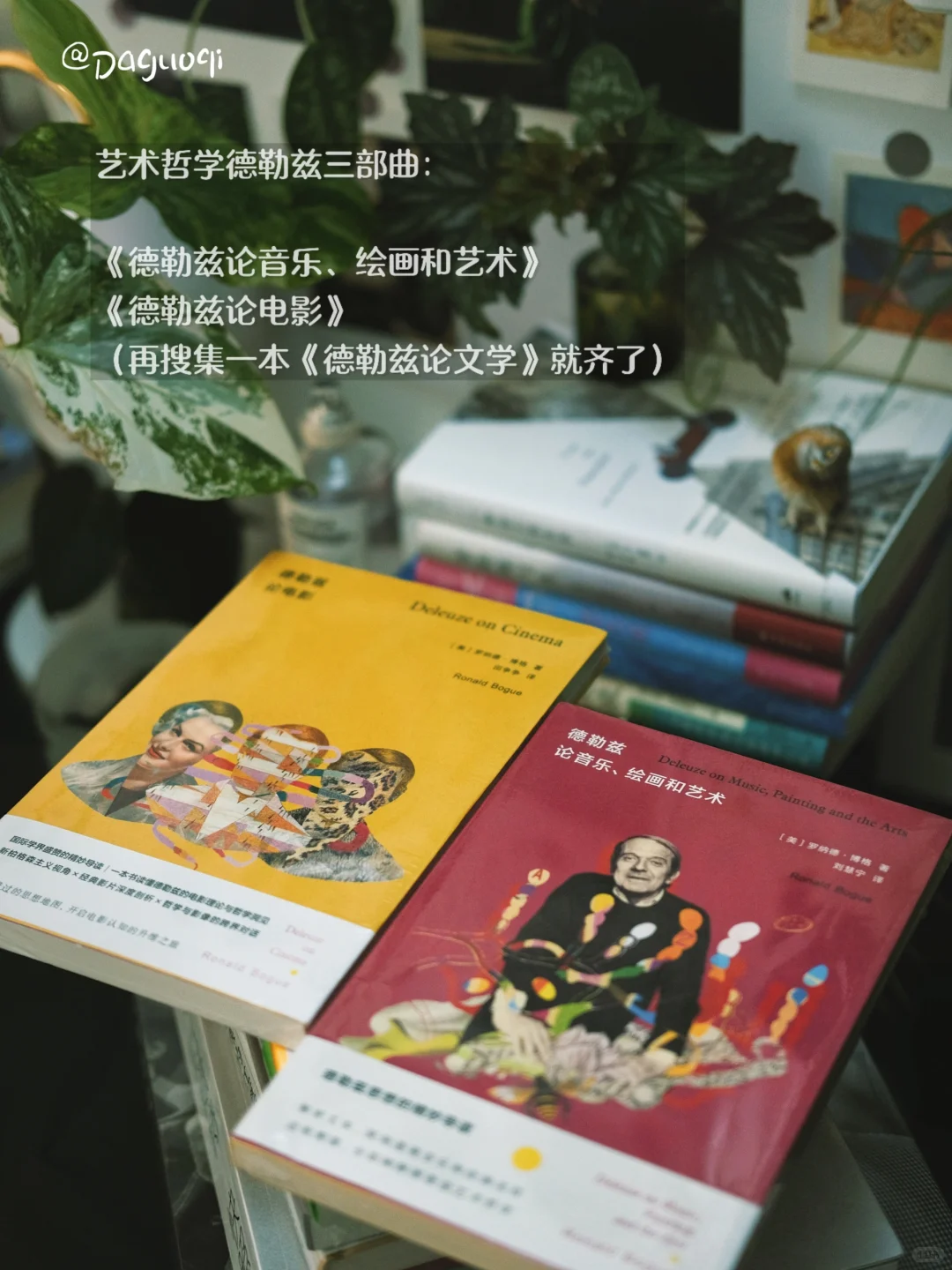 新书书单｜买到绝版摄影集啦！！