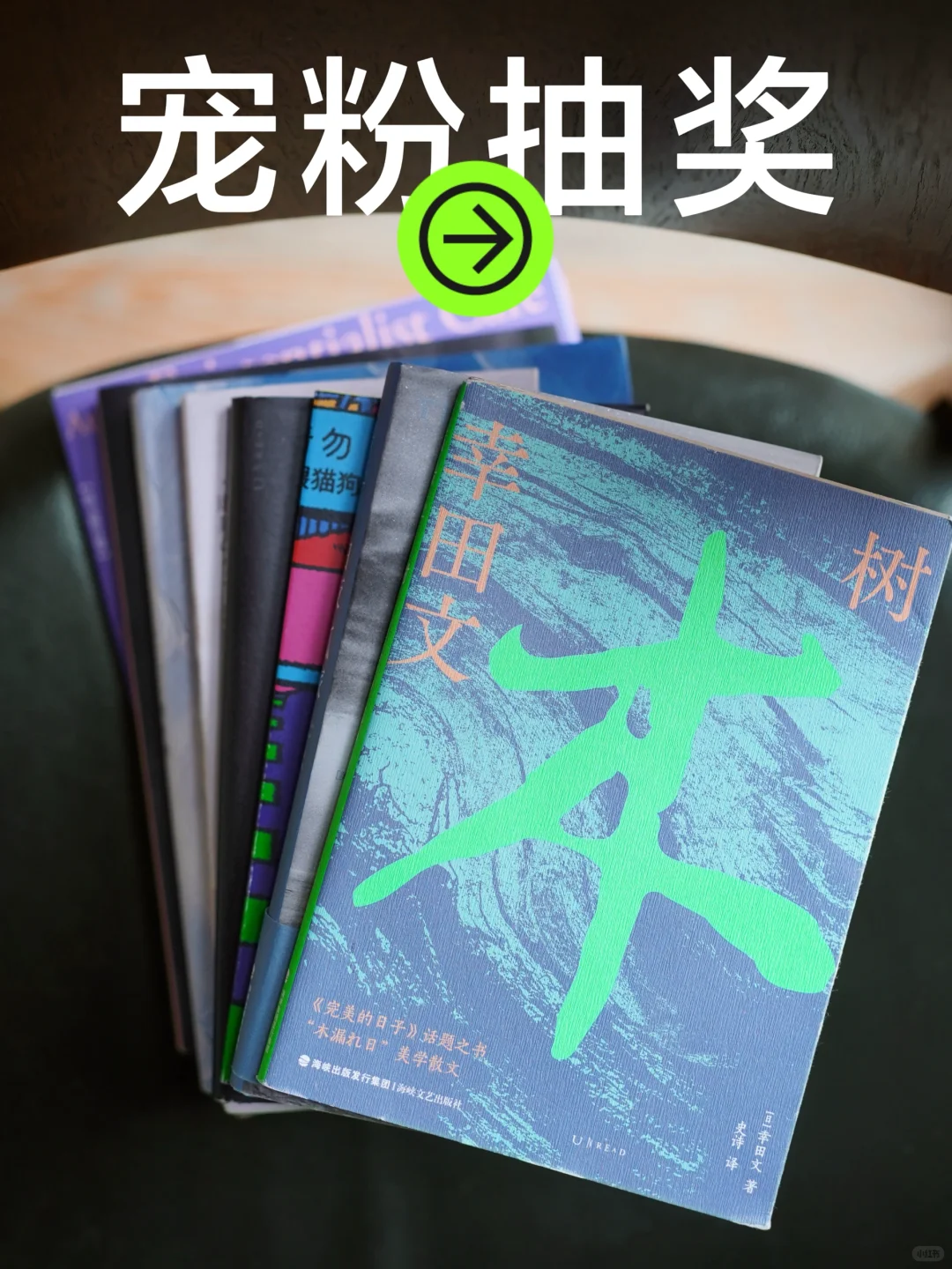 7万粉丝成就达成🎁 “书是最好的礼物。”