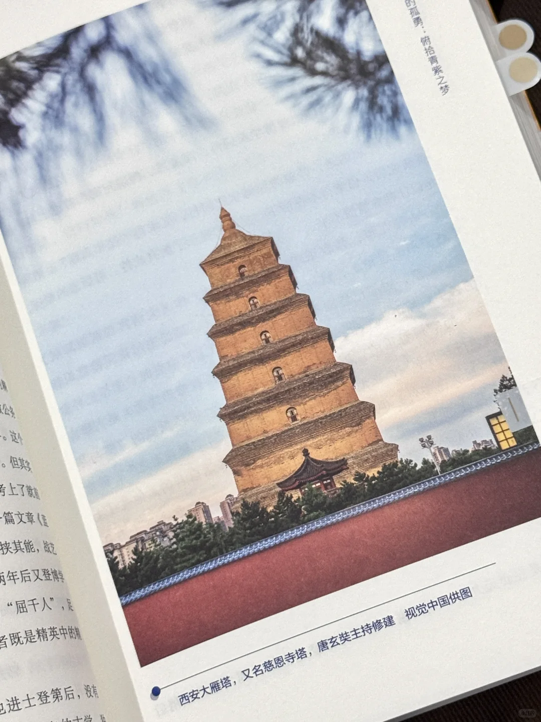 几乎是震撼着读完的历史书！太太精彩了！
